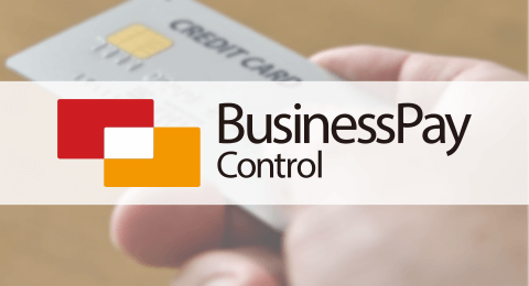 Business Pay Control